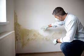 Best Asbestos and Lead Testing During Mold Inspection  in Suncrest, WA